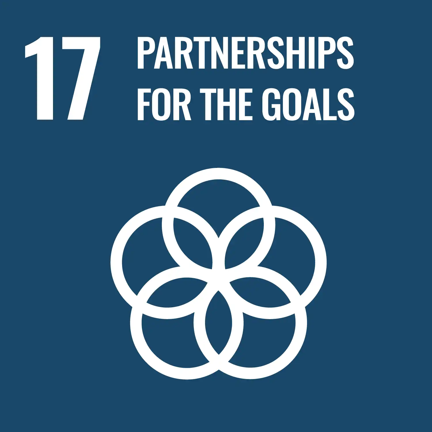 E-WEB-Goal-17.webp