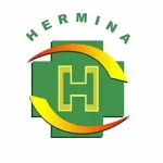Hermina-Hospital-Group.webp