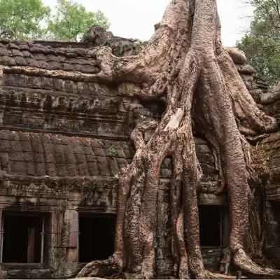 Cambodia tour (4)